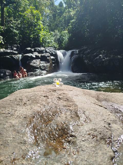 IMG-20241029-WA0166