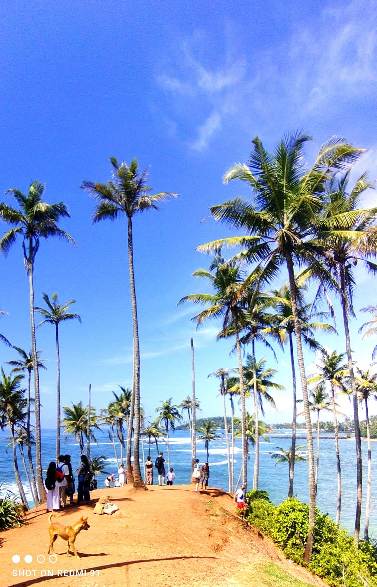 IMG-20241111-WA0039