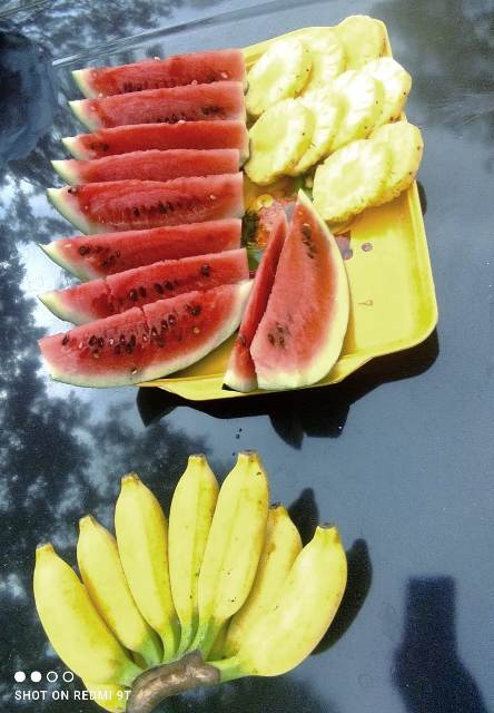 IMG-20240921-WA0231