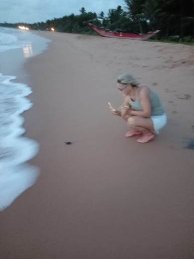 IMG-20241221-WA0072