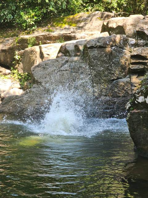 IMG-20250111-WA0062