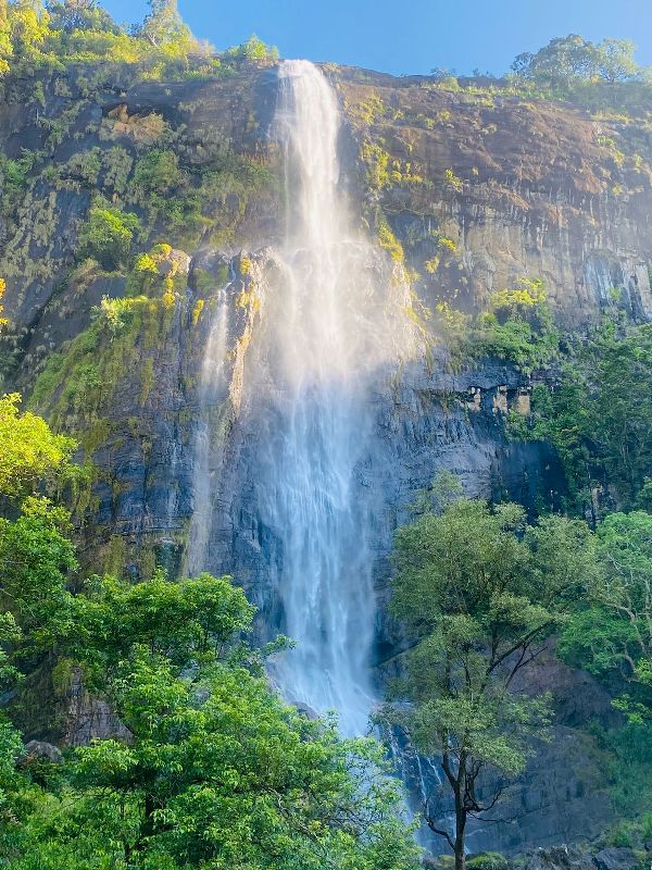 IMG-20250314-WA0091