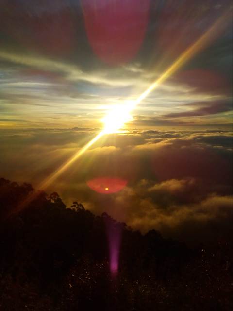 IMG-20250402-WA0138